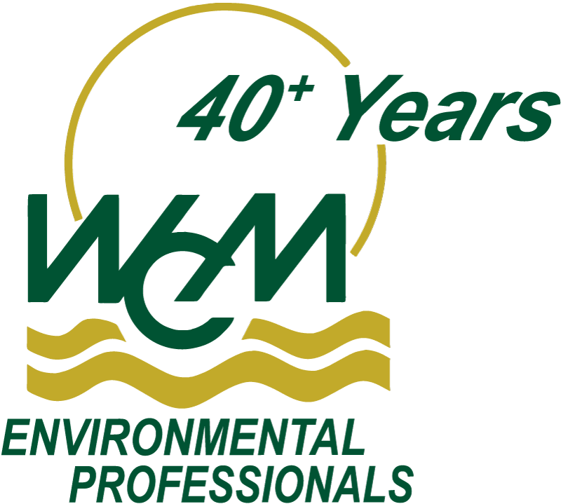 WCM Group Logo